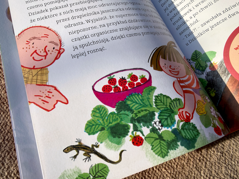 Basia i dziadek zbierają maliny i znajdują jaszczurkę ilustracja z książki Basia Supermoce zwierząt