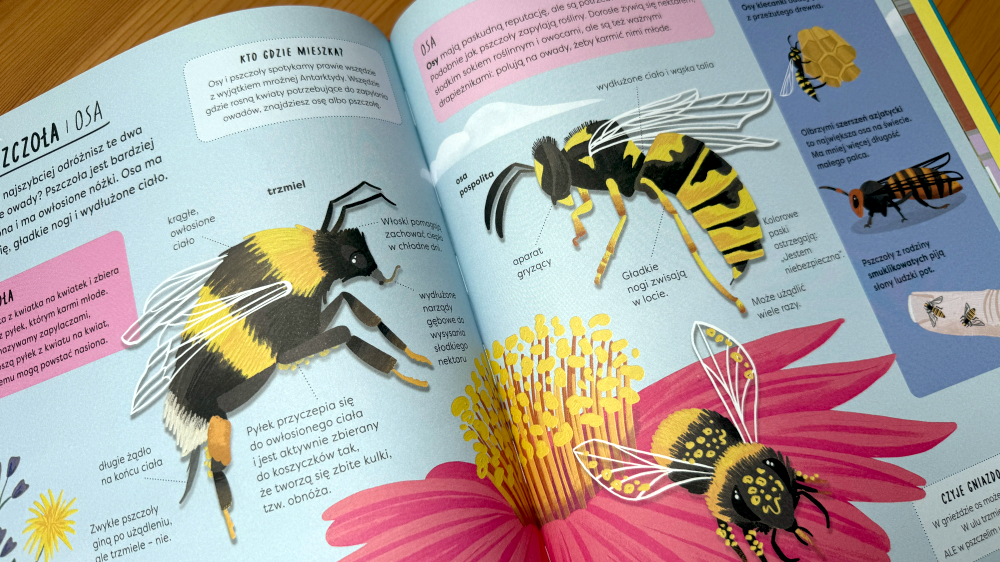 latające pszczoły - rozkładówka z książki Encyklopedia rzeczy które się różnią
