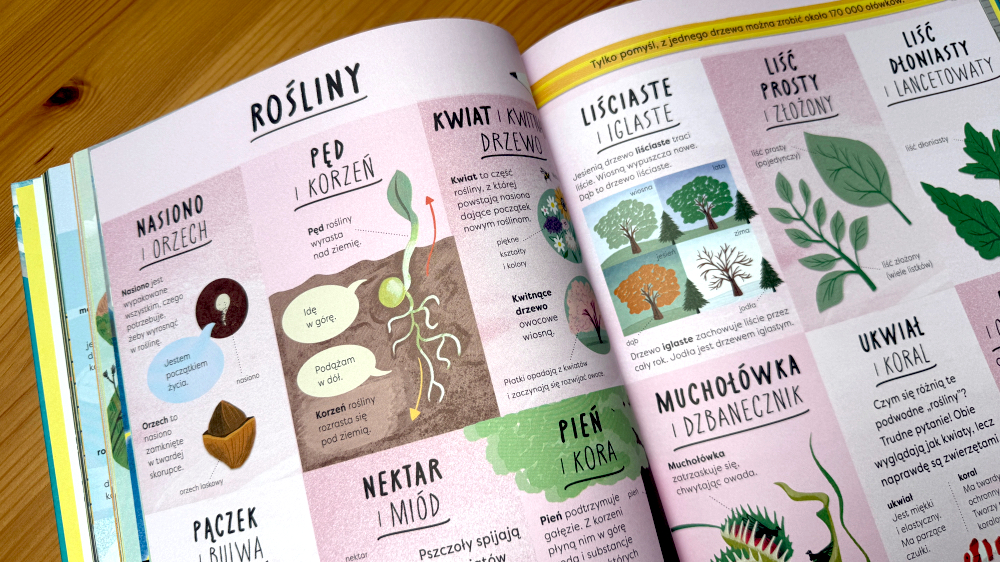 Rozkładówka z książki Encyklopedia rzeczy które się różnią przedstawiająca świat roślin