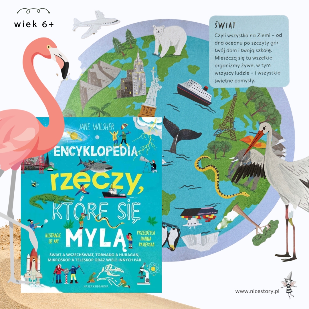 Okładka książki Encyklopedia rzeczy które się mylą dla dzieci z kolorową ilustracją edukacyjną, prezentująca temat różnic i ciekawostek o świecie