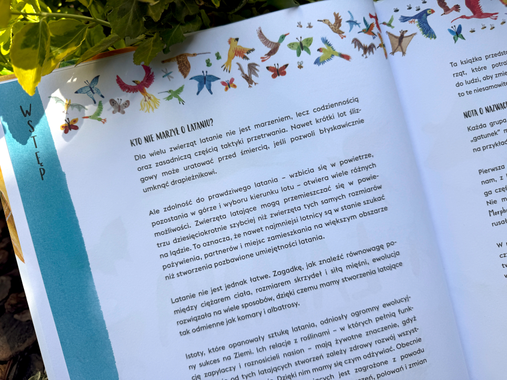 Magaia latania - ilustracja z tekstem wstępem do książki