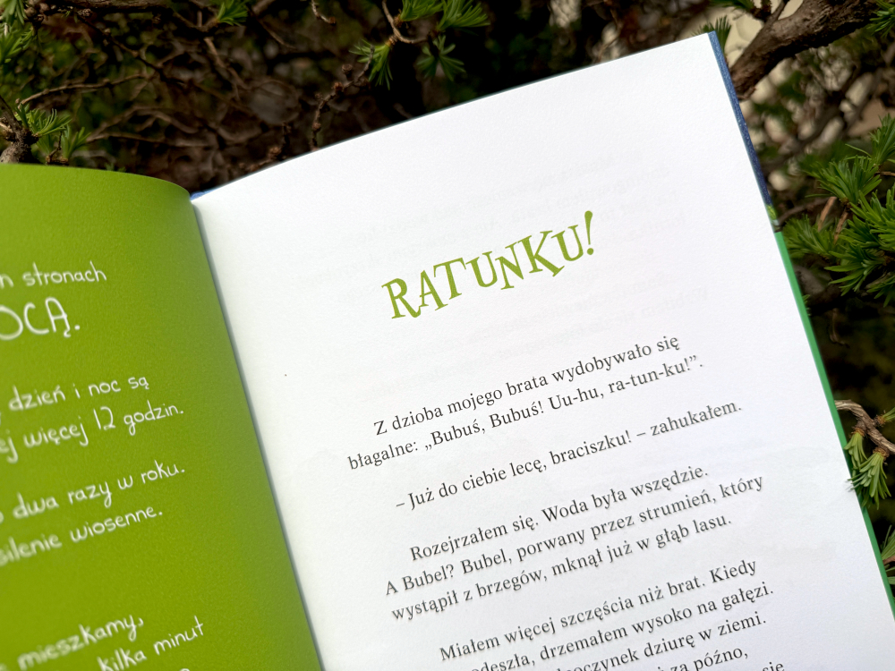 Rozkładówka książki Pogoda dla Puchaczy Wiosna z rozdziałem Ratunku, widoczny tekst i zielone tło ilustracyjne