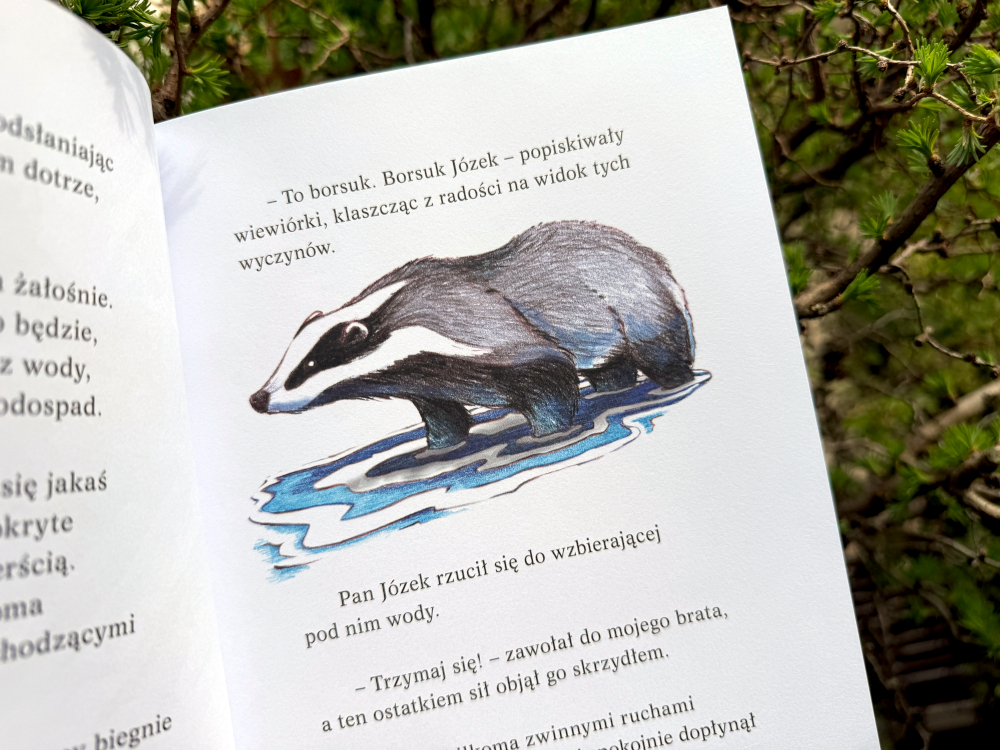 Ilustracja borsuka w wodzie w książce dla dzieci, dynamiczna scena ratunku na tle białej strony i leśnego otoczenia