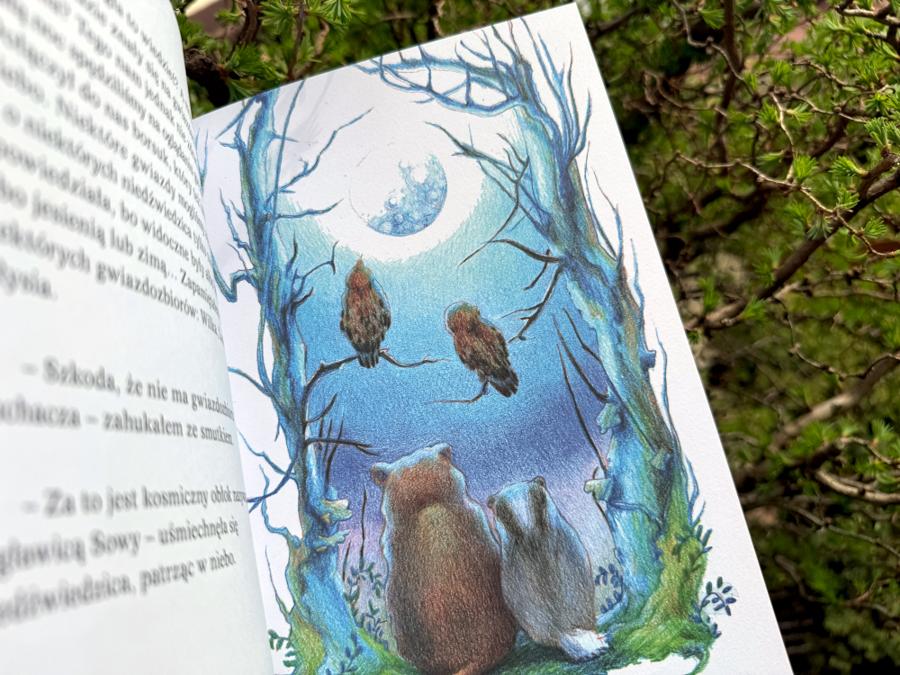 Niedźwiedzica, borsuk i puchacze siedzą razem i obserwują nocne niebo. Ilustracja z książki Pogoda dla puchaczy wiosna