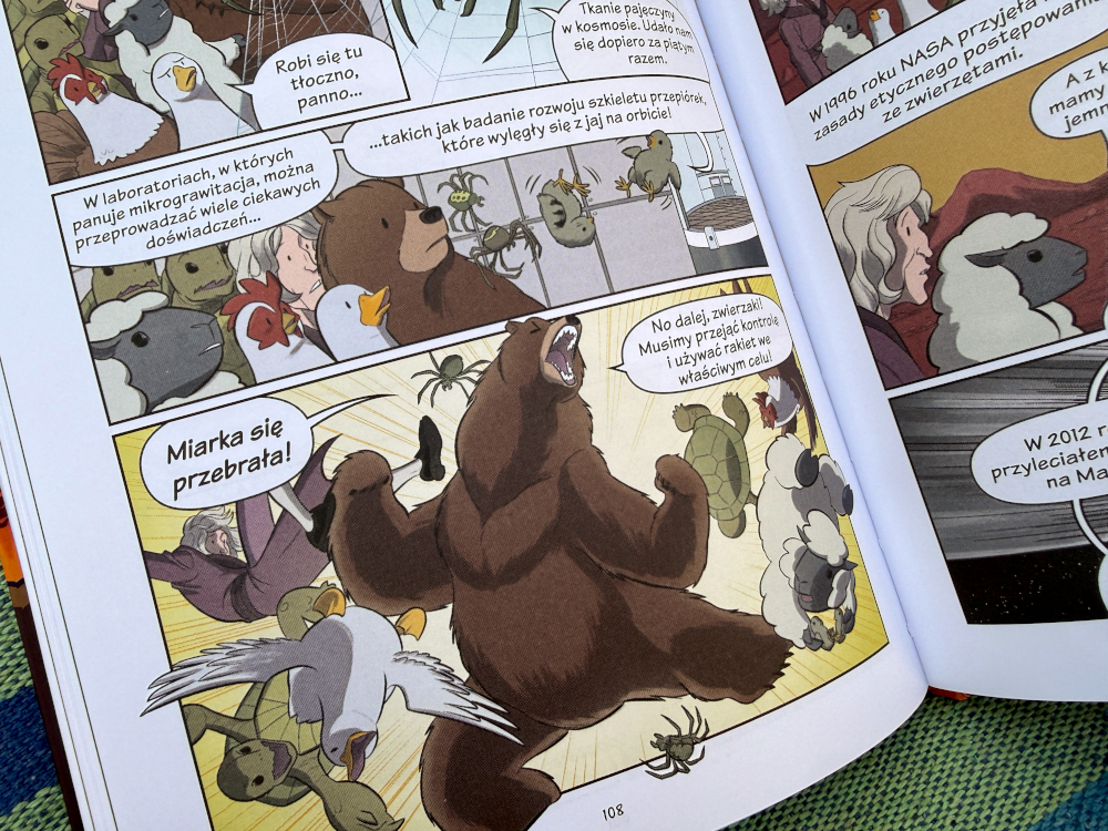 Niedźwiedź brunatny wpada w szał - ilustracja z książki Rakiety