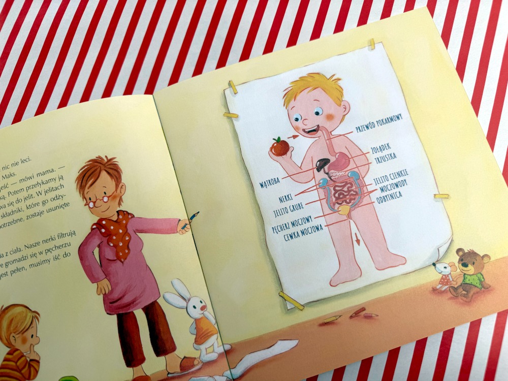 Ilustracja układu pokarmowego i moczowego wyjaśniająca dziecku skąd biorą się siku i kupa