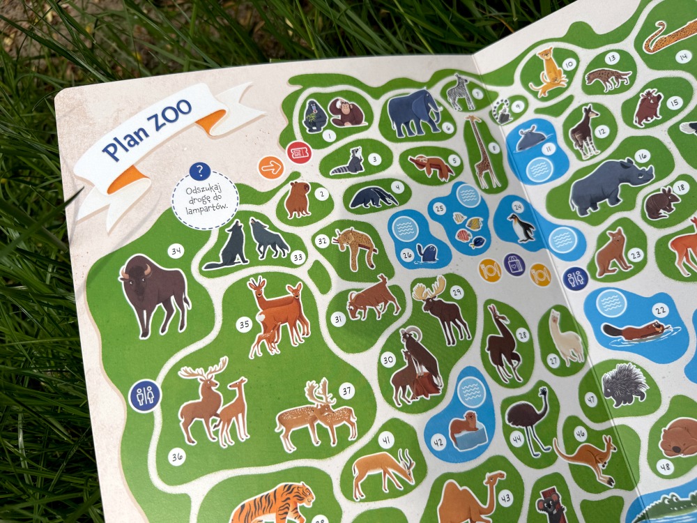 Mapa zoo w książce dla dzieci z rozmieszczeniem wybiegów