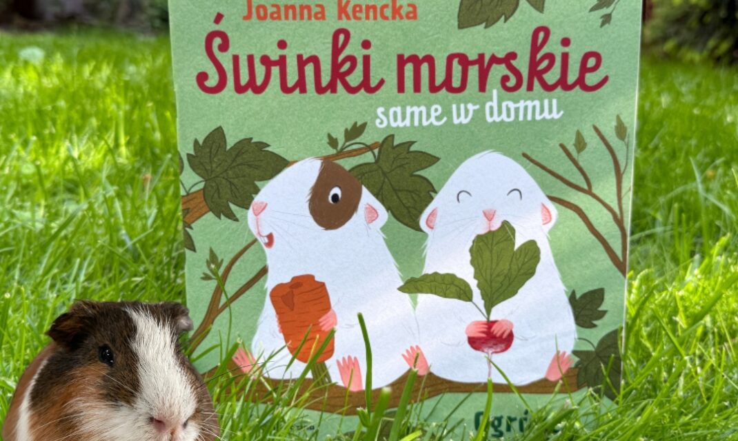 Okładka książki Świnki morskie same w domu przedstawiająca dwie świnki morskie podczas wspólnej przygody