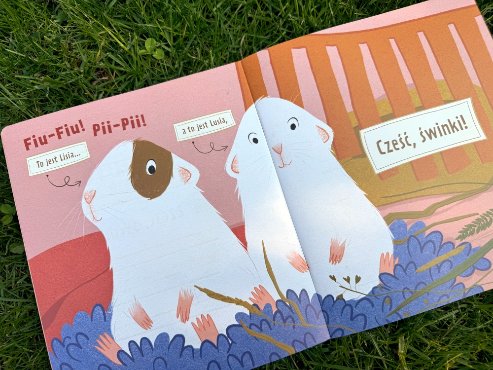Ilustracja przedstawiająca świnki morskie Lisię i Luis w domowym wybiegu na pierwszych stronach książki