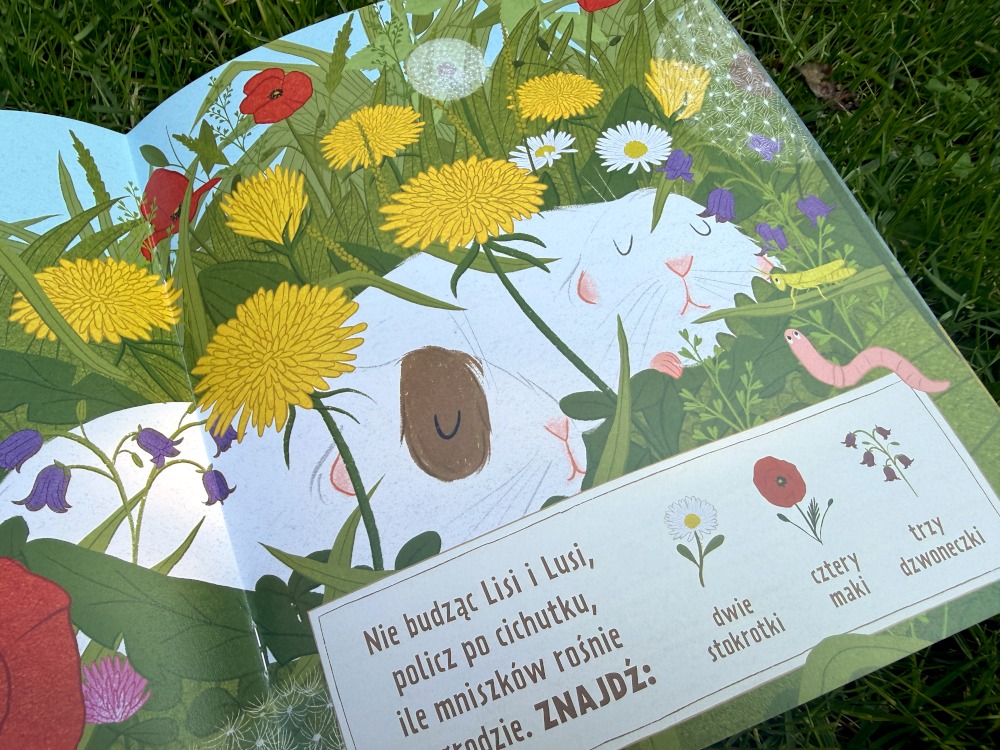 Świnki morskie same w domu