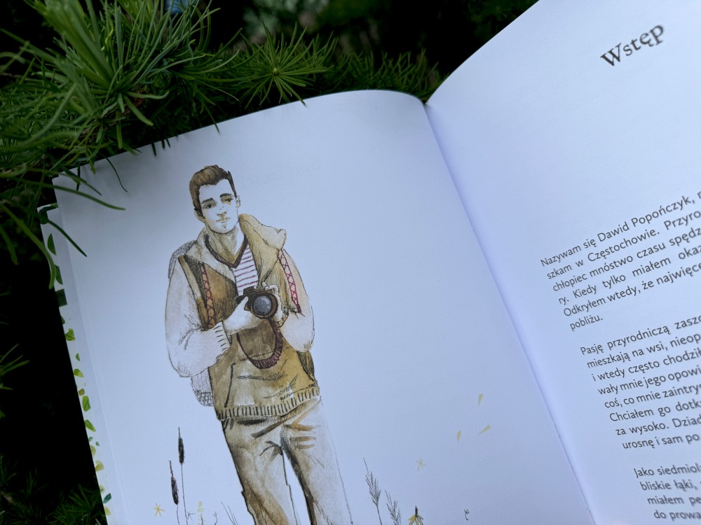 Ilustracja autora Dawida Popończyka we wstępie książki przyrodniczej dla dzieci sfotografowana wśród gałęzi sosny
