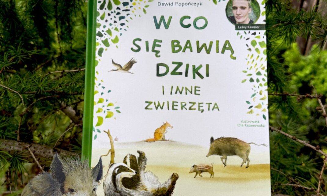Okładka książki o przyrodzie dla dzieci W co się bawią dziki i inne zwierzęta