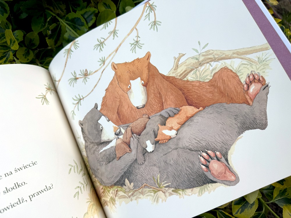 Ilustracja z leżącymi na grzbiecie niedźwiedziami i bawiącymi się na nich trzema małymi misiami