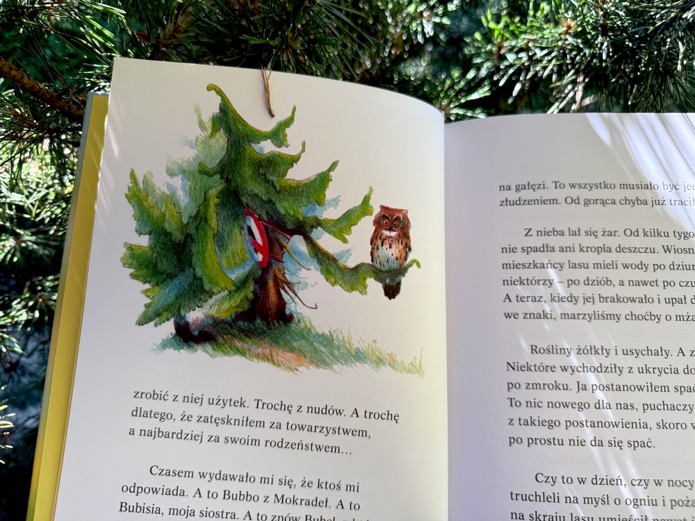 Ilustracja z książki przedstawiająca puchacza siedzącego na gałęzi drzewa iglastego obok znaku zakazu w lesie podczas suszy.