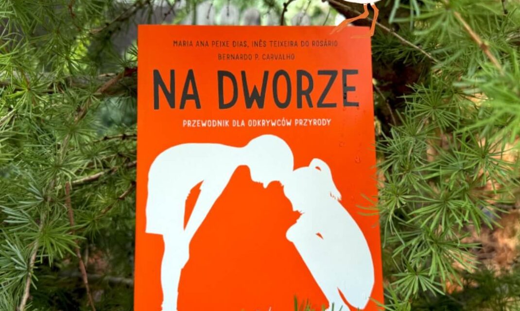 Pomarańczowa okładka książki Na dworze. Przewodnik dla odkrywców przyrody z grafiką sylwetek postaci.