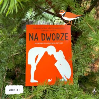 Pomarańczowa okładka książki Na dworze. Przewodnik dla odkrywców przyrody z grafiką sylwetek postaci.