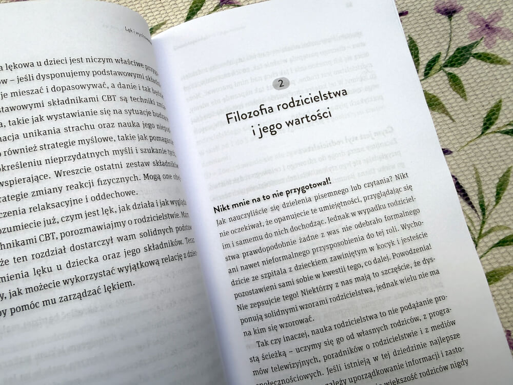 Tekst drugiego rozdziału książki poświęconego filozofii rodzicielstwa i wartości.