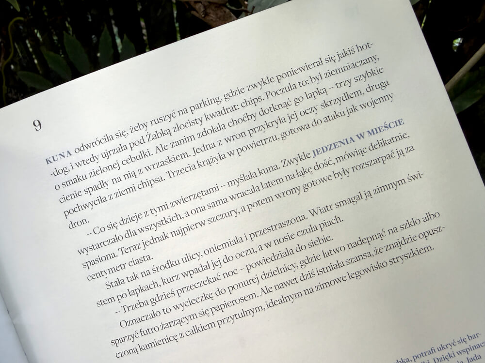 Można tu gwizdać z tekstem o miejskich przygodach kuny