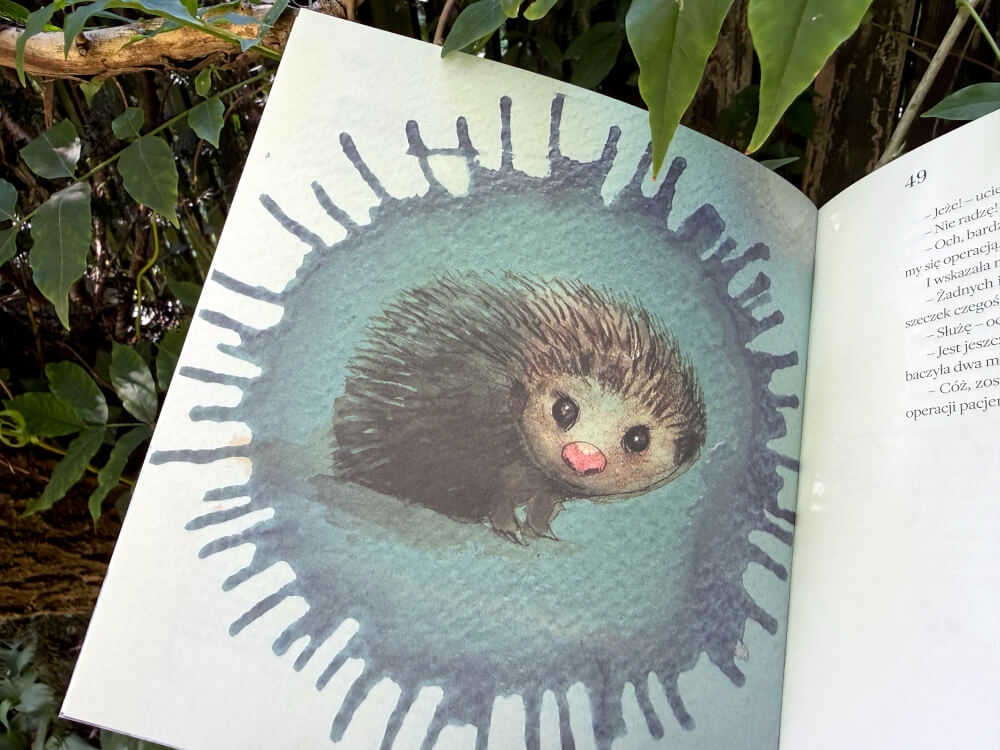 Ilustracja małego jeża z różowym noskiem na tle niebieskiej plamy"