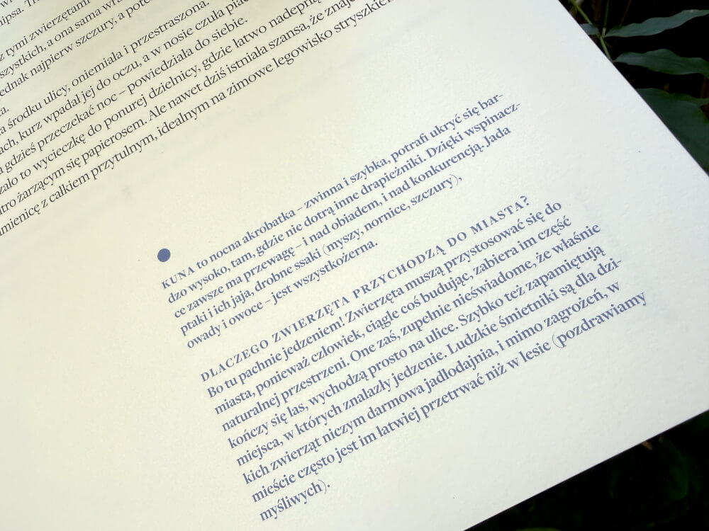 Strona z tekstem Dlaczego zwierzęta przychodzą do miasta i o kunach