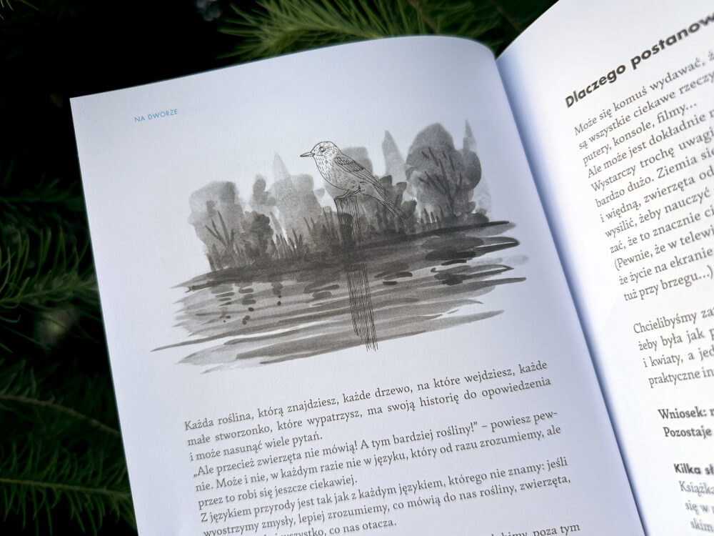 Ilustracja ptaka na tle lasu i wody w książce przyrodniczej dla dzieci o odkrywaniu świata.