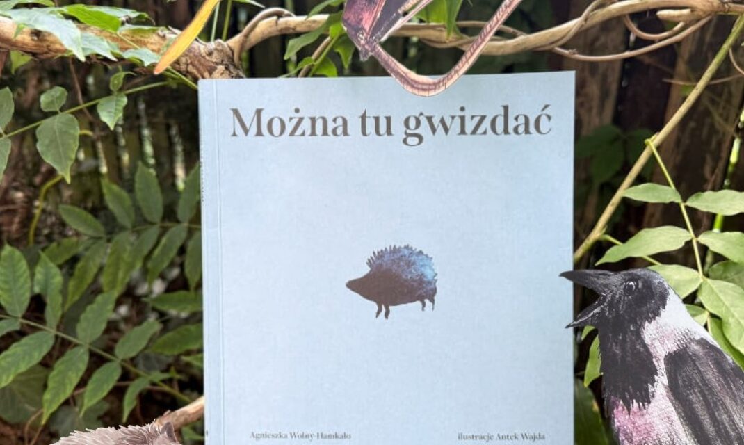 Okładka książki Można tu gwizdać Agnieszki Wolny-Hamkało z ilustracją jeża