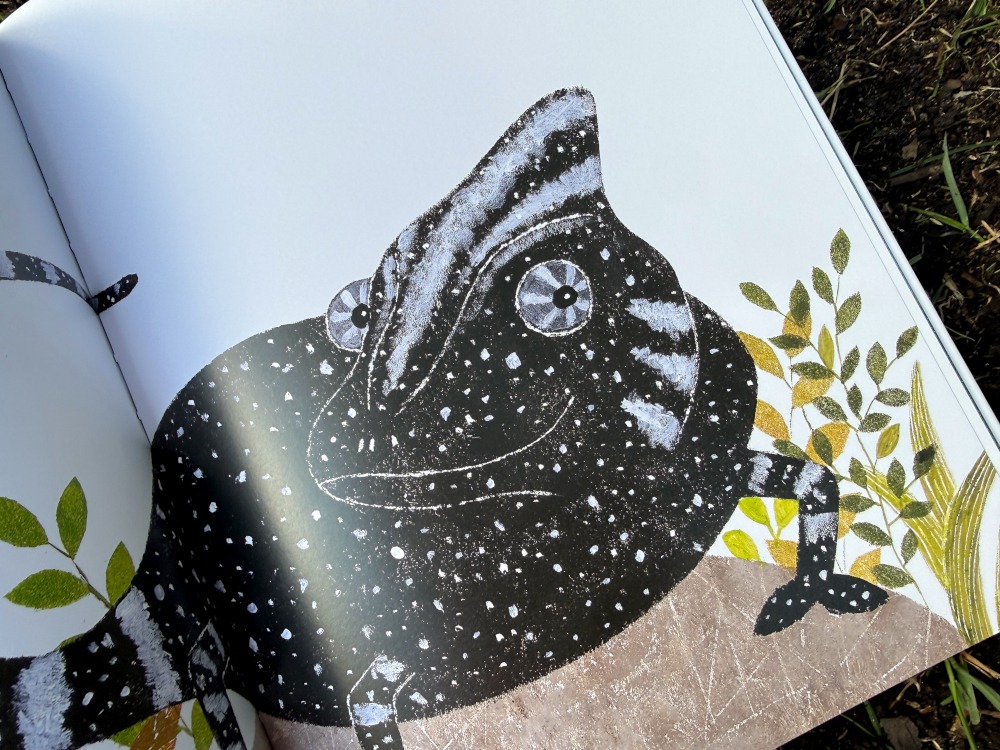 Zbliżenie ilustracji czarnego kameleona z książki „Czarny Kameleon” Sun-sun Lee.