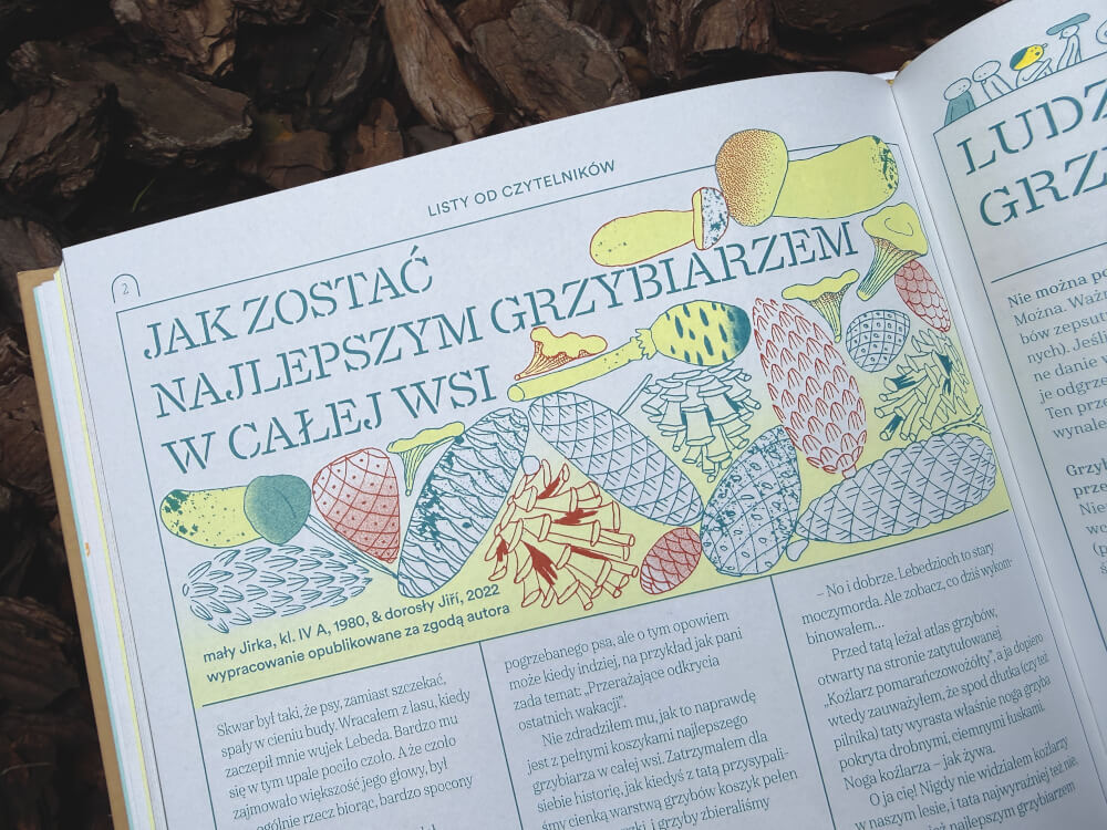 Otwarta strona książki Grzyby. Raport z naszego świata z poradnikiem Jak zostać najlepszym grzybiarzem
