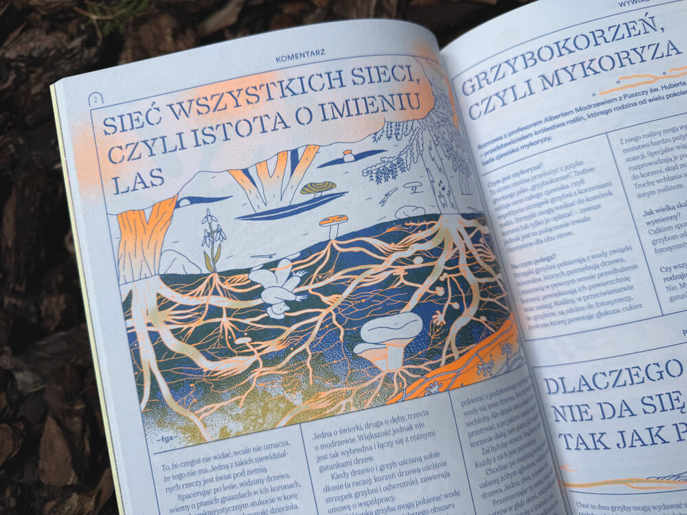 Strona książki Grzyby. Raport z naszego świata z artykułem o sieci mykoryzowej oraz ilustracją podziemi