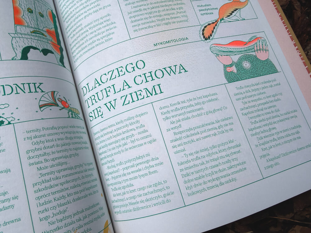 Ilustracja i tekst ze strony książki Grzyby. Raport z naszego świata wyjaśniające dlaczego trufle rosną w ziemi