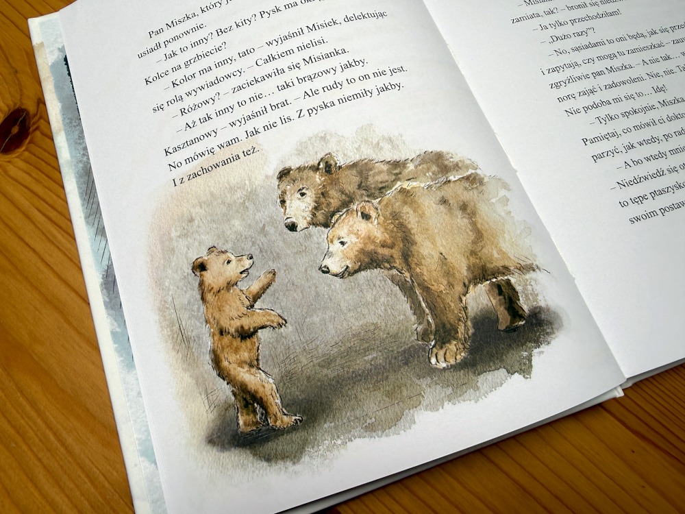 Akwarelowa ilustracja z książki Lisek, syn Rudego przedstawiająca małego i dużego niedźwiedzia.
