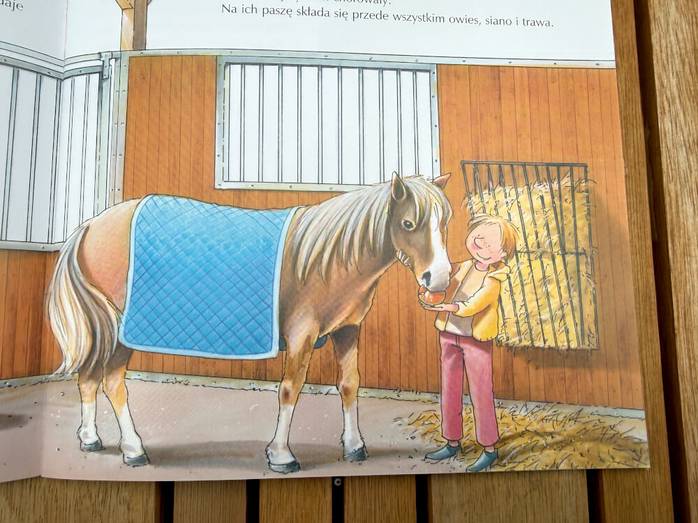 Kucyk w boksie jedzący jabłko z ręki dziecka, z widoczną paszą i sianem w tle z książki Mam przyjaciółkę instruktorkę jazdy konnej.