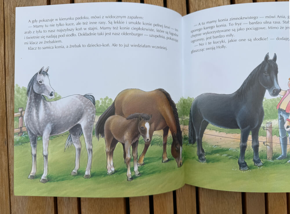Padok z różnymi rasami koni, w tym kucami, klaczą z źrebakiem oraz koniem zimnokrwistym z książki Mam przyjaciółkę instruktorkę jazdy konnej.