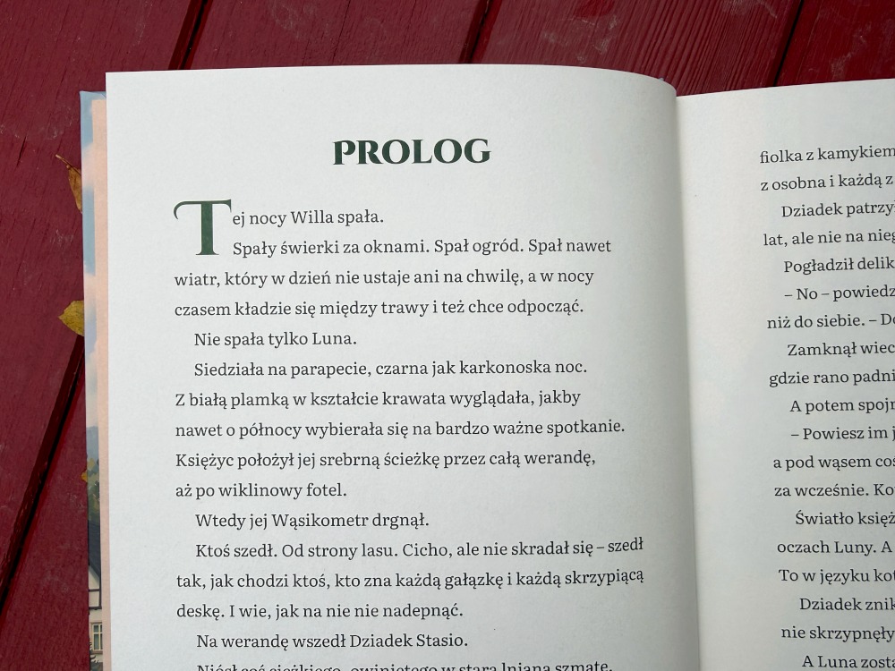 Strona otwierająca prolog powieści dla dzieci Przygoda w Karkonoszach opowiadająca o tajemniczej nocy.