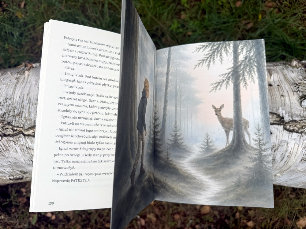 Malownicza ilustracja z książki Przygoda w Karkonoszach przedstawiająca chłopca w okularach i sarnę w gęstym lesie.